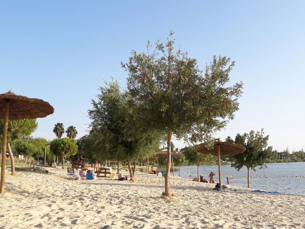Casa Sandra Arcos de la Frontera Εξωτερικό φωτογραφία